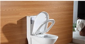 潔具挑選小竅門(mén)